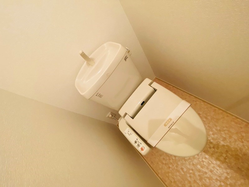 ソレイユ その他1