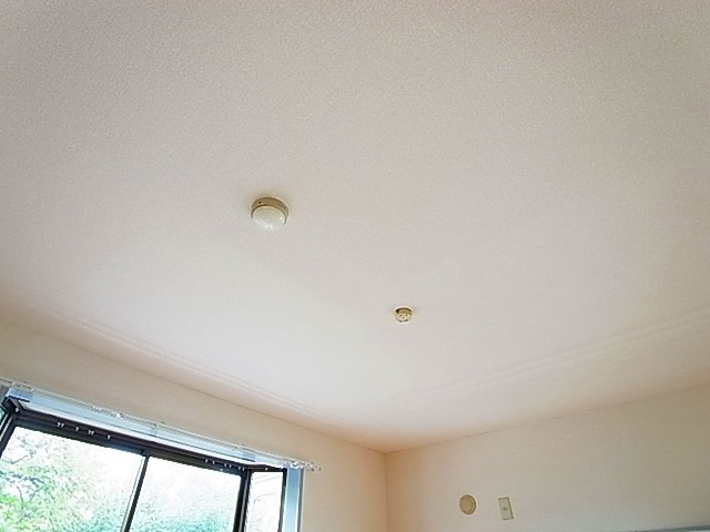 パステロード２番館 その他36