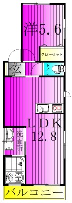 サンライズ天王台 101号室 間取り
