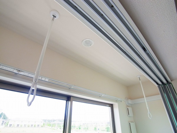 パストラル（pastoral） その他11