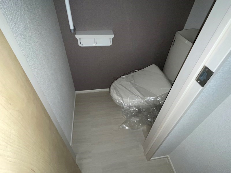 アレックス その他1