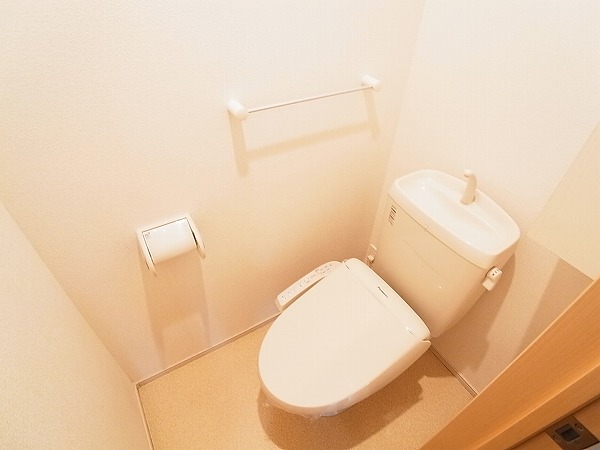 ストロベリー・カーサⅥ その他1