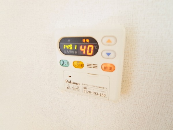 ストロベリー・カーサⅥ その他6