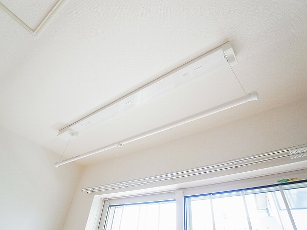 ストロベリー・カーサⅥ その他8