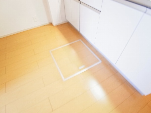 ストロベリー・カーサⅥ その他12