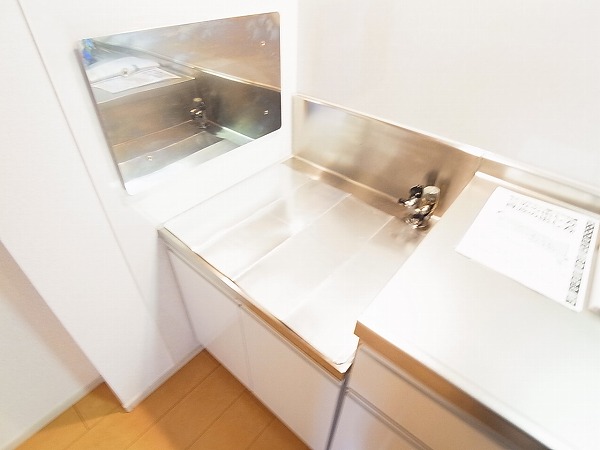 ストロベリー・カーサⅥ その他13