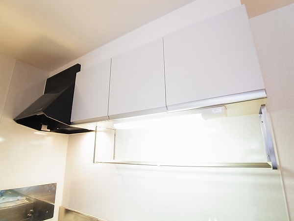 ストロベリー・カーサⅥ その他14