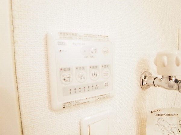 ストロベリー・カーサⅥ その他15