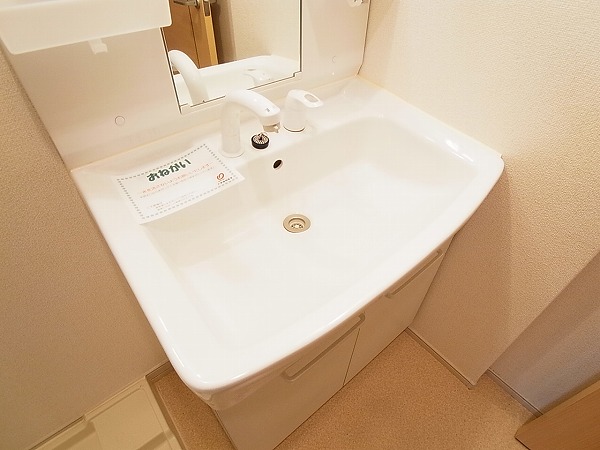 ストロベリー・カーサⅥ その他18