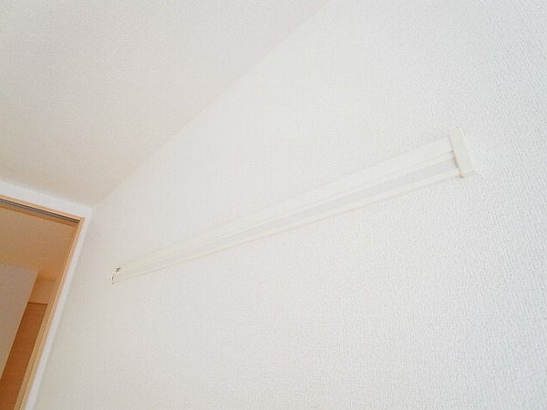 ストロベリー・カーサⅥ その他20