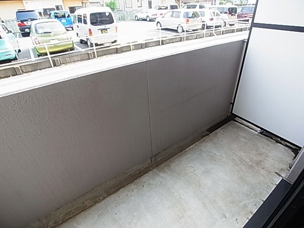 シャンドフルールⅡ その他11