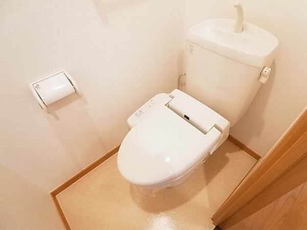 ルピナス その他1