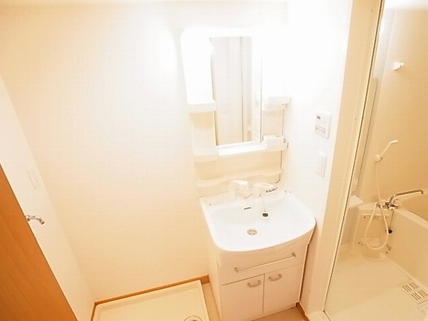 ルピナス その他2