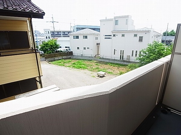 ルピナス その他5