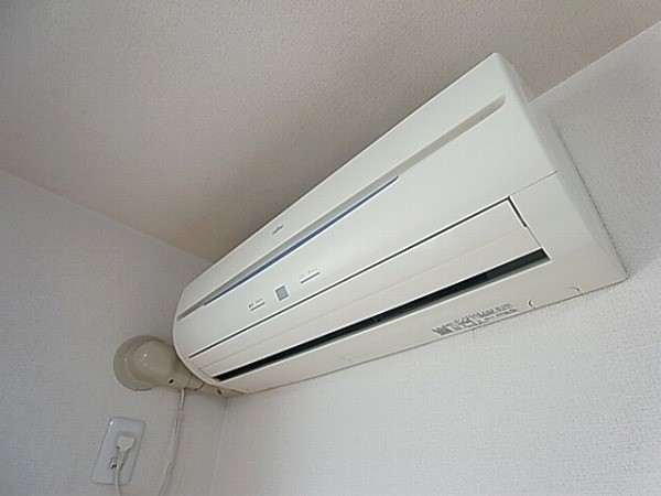 ルピナス その他6