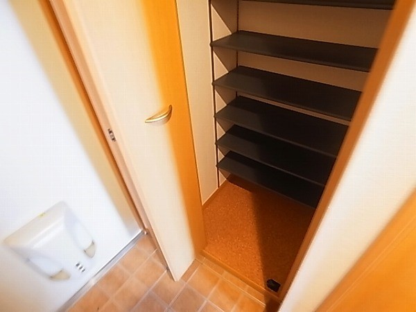 ルピナス その他12