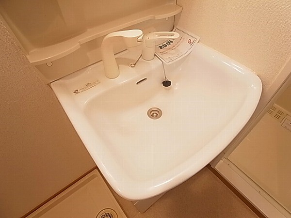 ルピナス その他14