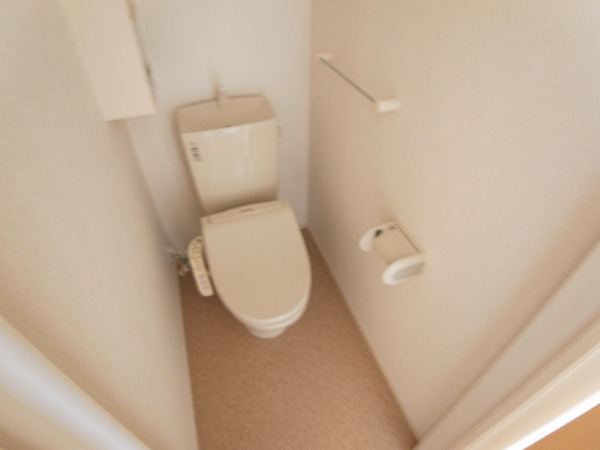 アウラ その他1