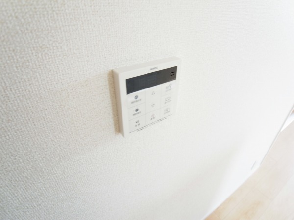 アウラ その他10