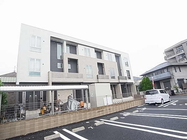 ソイビーンズ　ウッド その他外観5