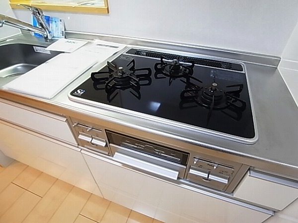 ゾーネンブルーメ・ノイン その他13