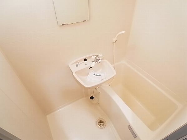 シャンドフルールⅡ その他2