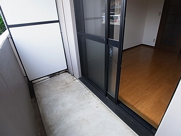 シャンドフルールⅡ その他9