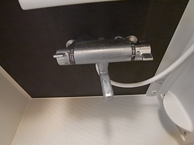 シャルマンⅡ その他11