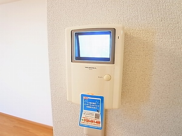 アレグラール その他4