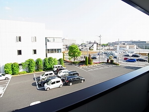 アレグラール その他5