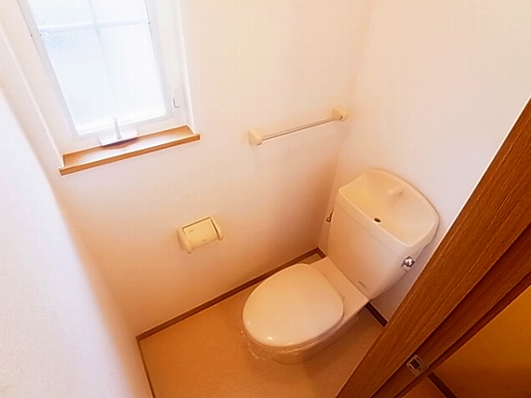 サニーキュート その他1