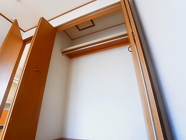 サニーキュート その他3