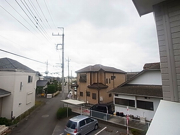 サニーキュート その他5