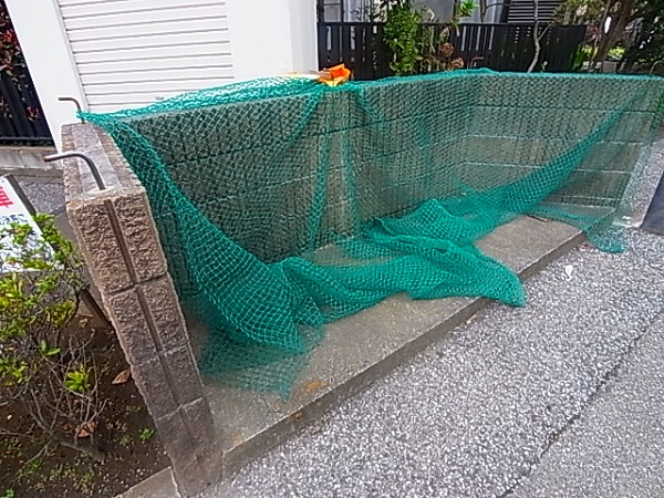 サニーキュート その他外観5