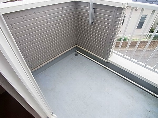 サニーキュート その他9