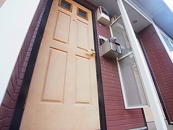 サニーキュート その他12