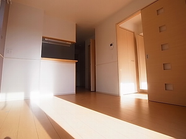 アルトゥーラⅡ その他6