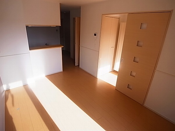 アルトゥーラⅡ その他20