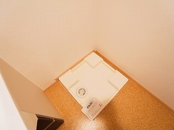 パープルコート・アゼリア その他8