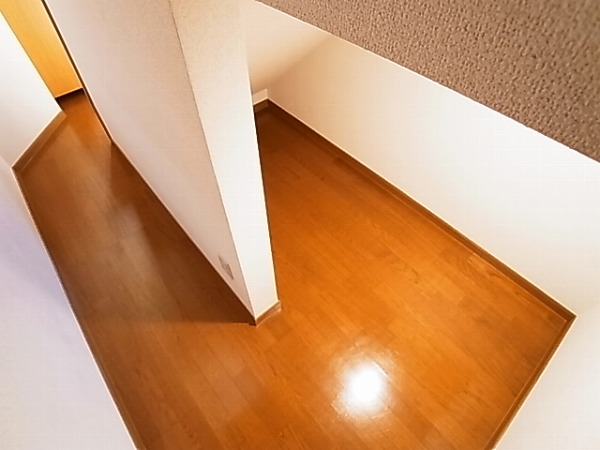 ドゥ・ソレイユ その他17