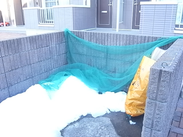 ペルル・ジェモー弐号館 その他外観2