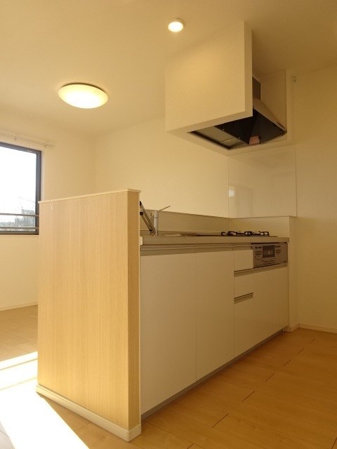 セレノパラッツォⅡ その他9