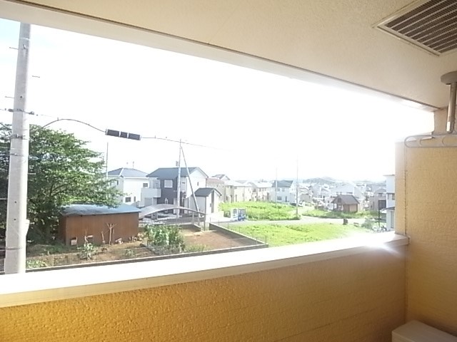 ローズマリーA その他5