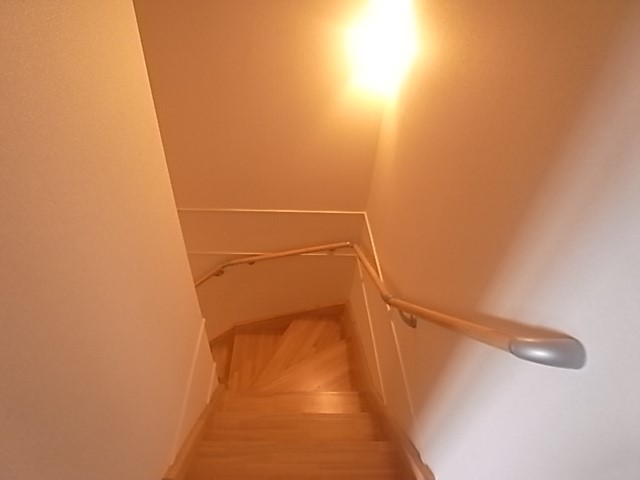 ローズマリーA その他8