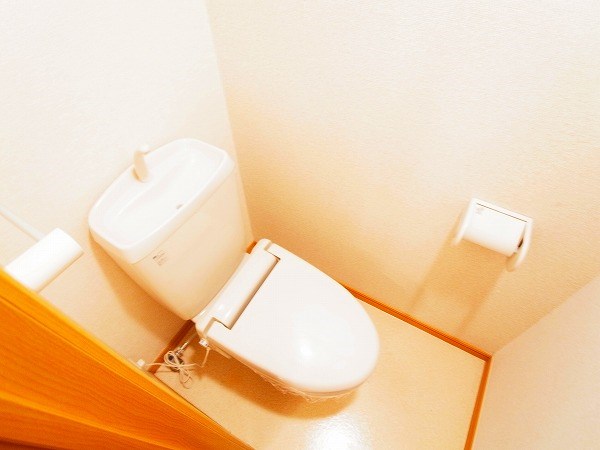 セレッソ若葉 その他2