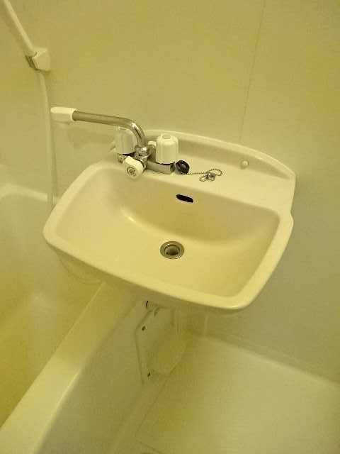 シャンドフルールⅡ その他2