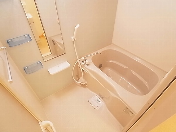 メゾン　ビオラティ  風呂画像