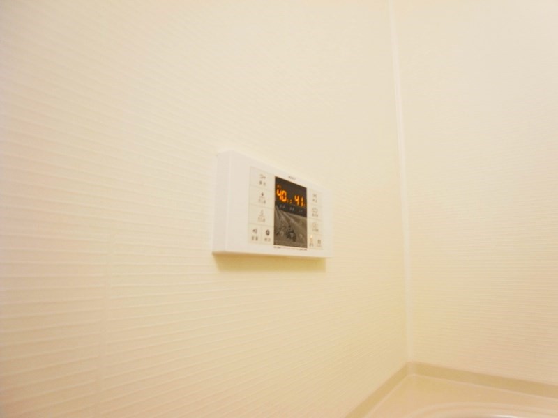 シオンⅠ その他9