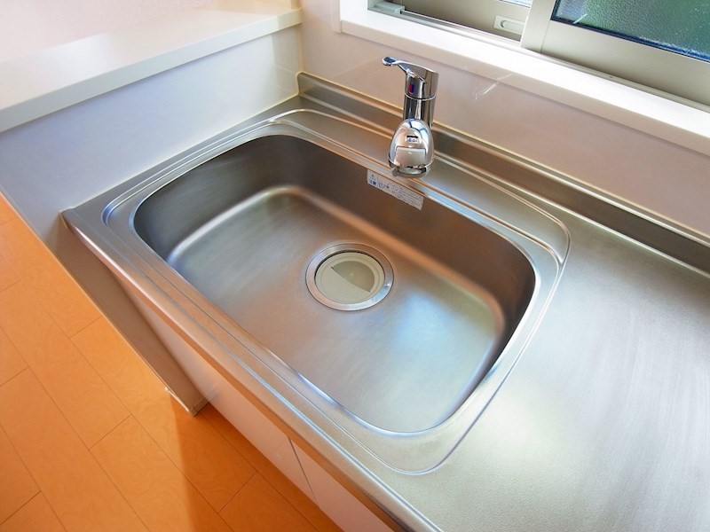 シオンⅠ その他10