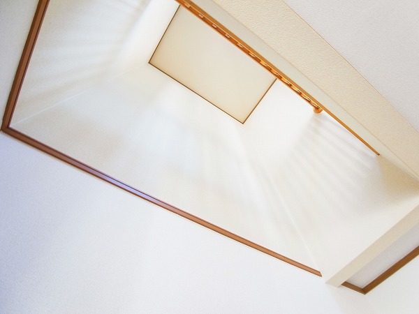 シューベルブ南青山 その他11